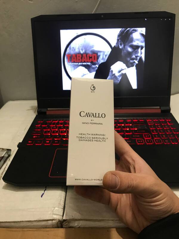 Cavallo Gino Ferarra